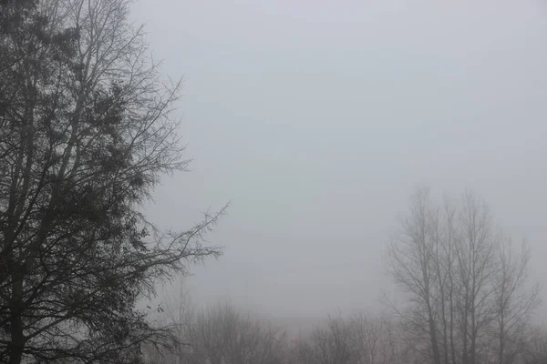 晩秋の霧景色 — ストック写真
