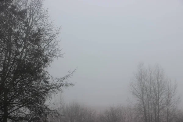 Laat Herfst Mist Zicht — Stockfoto