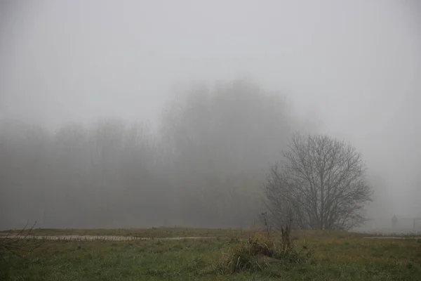 Vista Nebbia Tardo Autunno — Foto Stock