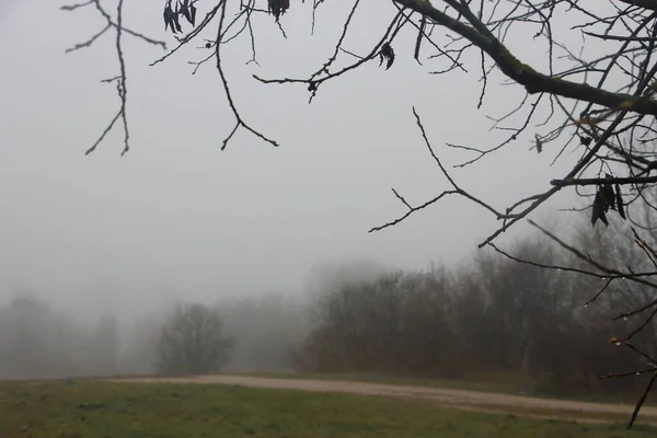 Vista Nebbia Tardo Autunno — Foto Stock