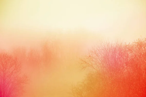 Пізньої Осені Вид Туман — стокове фото