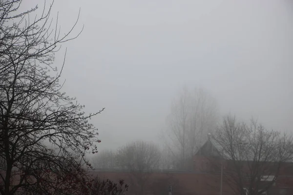 Late Autumn Fog View — Stock Photo, Image