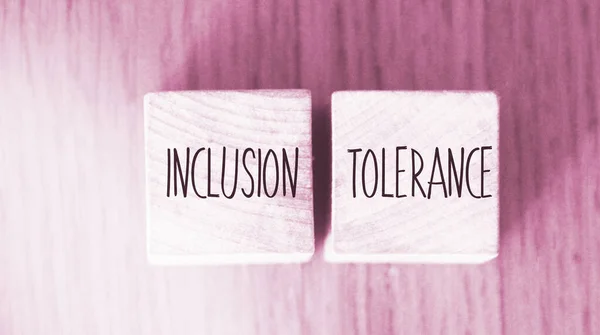 Inclusion Tolerance words written on wood blocks. social and business concept