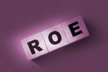 Tahta bloklar ve paralar üzerinde ROE. Equity 'ye Dönüş. İş karlılığı başarı büyüme karlılık analizleri. konsept.