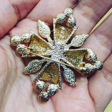 Mücevher parçası, broş broşu görünümünü kapat