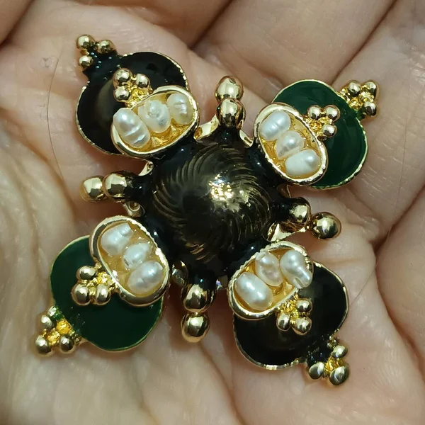 Biżuteria Element Widok Bliska Broszki Pin — Zdjęcie stockowe