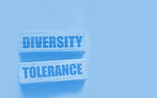Diversidade Palavras Tolerância Blocos Madeira Conceito Igualdade Oportunidades — Fotografia de Stock