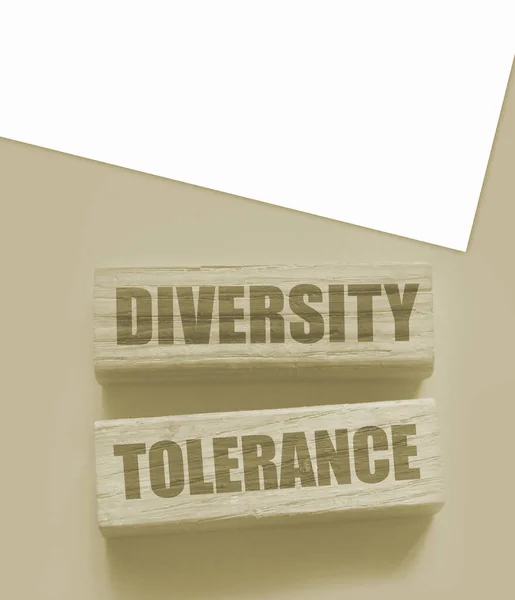 Diversidade Palavras Tolerância Blocos Madeira Conceito Igualdade Oportunidades — Fotografia de Stock