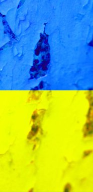 Ukrayna bayrak arkaplan görüntüsü, dikey