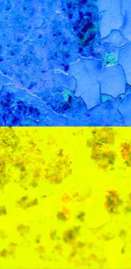 Ukrayna bayrak arkaplan görüntüsü, dikey