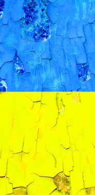 Ukrayna bayrak arkaplan görüntüsü, dikey