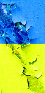 Ukrayna bayrak arkaplan görüntüsü, dikey