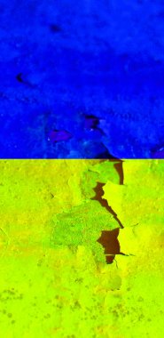 Ukrayna bayrak arkaplan görüntüsü, dikey