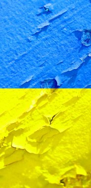 Ukrayna bayrak arkaplan görüntüsü, dikey