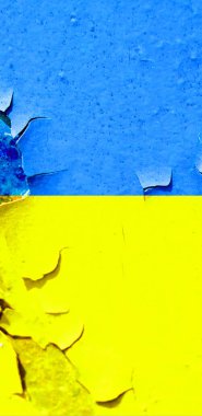 Ukrayna bayrak arkaplan görüntüsü, dikey