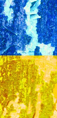 Ukrayna bayrak arkaplan görüntüsü, dikey