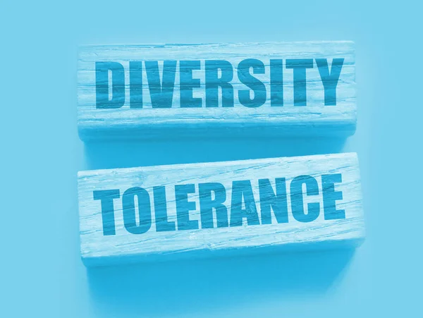 Diversity Tolerance Words Wooden Blocks Equal Opportunities Concept — Stock Photo, Image