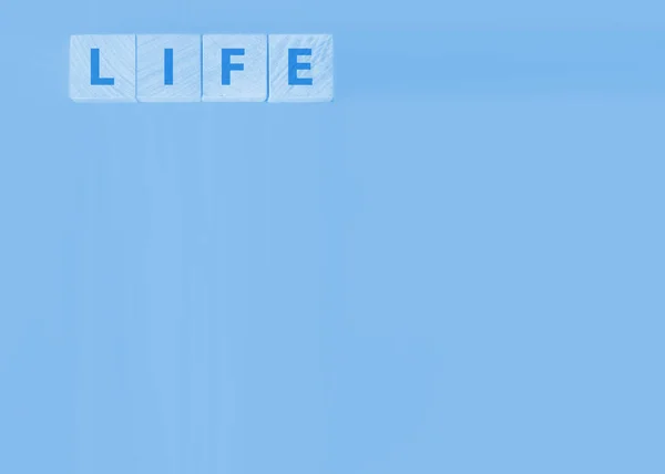 Holzwürfel mit der Inschrift Leben, mit Hintergrund. Sicheres Leben — Stockfoto
