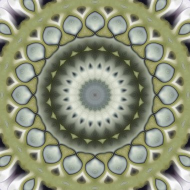 Soyut renkli yaratıcı dijital mandala arkaplan görüntüsü 