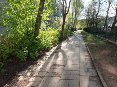 Bahar doğası konsepti 