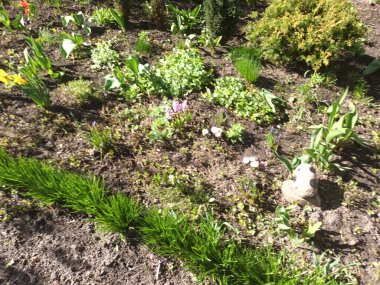 Bahar doğası konsepti 