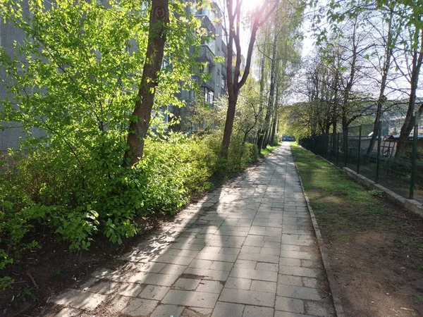 Frühling Natur Hintergrundkonzept — Stockfoto