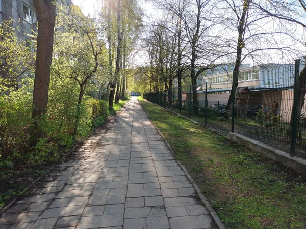 Frühling Natur Hintergrundkonzept — Stockfoto