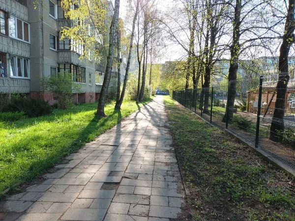 Voorjaar Natuur Achtergrond Concept — Stockfoto