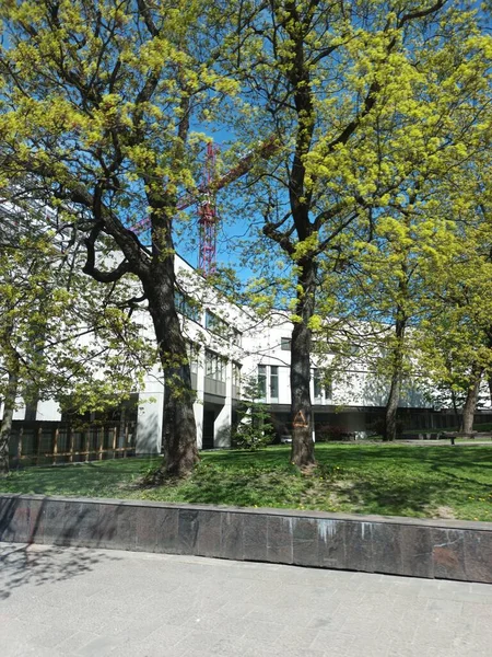 Vilnius Κέντρο Της Πόλης Μέρα Άποψη — Φωτογραφία Αρχείου