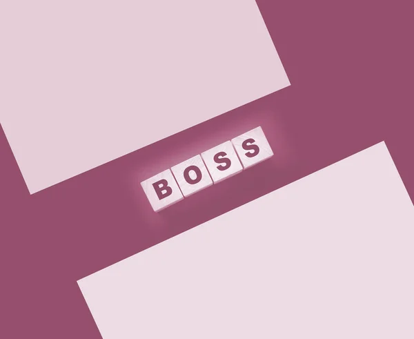 Boss Sign Wooden Cubes Business Owner Concept — Stockfoto