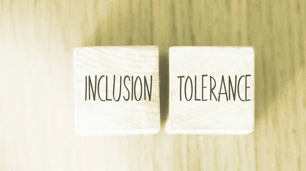 Inclusion Tolerance words written on wood blocks. social and business concept.