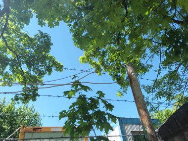 Hapishane çitleri mavi gökyüzüne karşı 