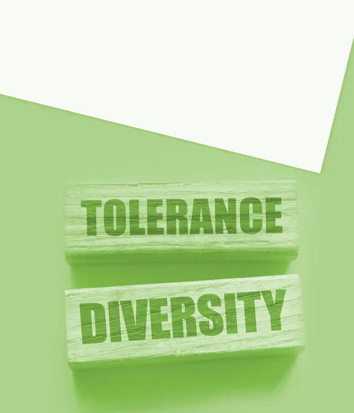 Tolerância Diversidade Palavras Blocos Madeira Amarelo Conceito Igualdade Por Sexo — Fotografia de Stock