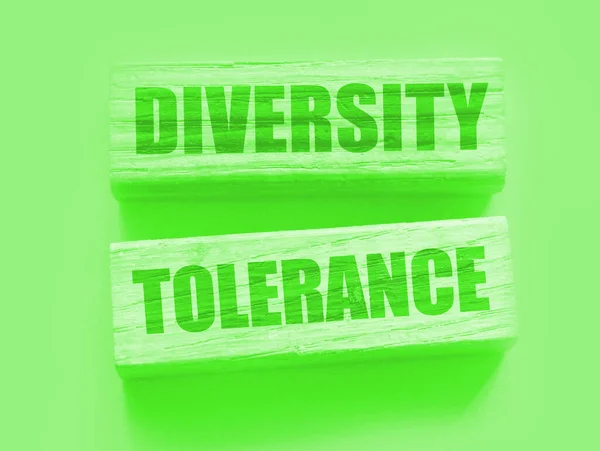 Mångfald Tolerans Ord Träblock Begreppet Lika Möjligheter — Stockfoto