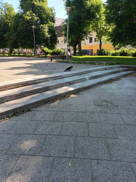 Vista Las Calles Ciudad Verano Vilna Lituania — Foto de Stock