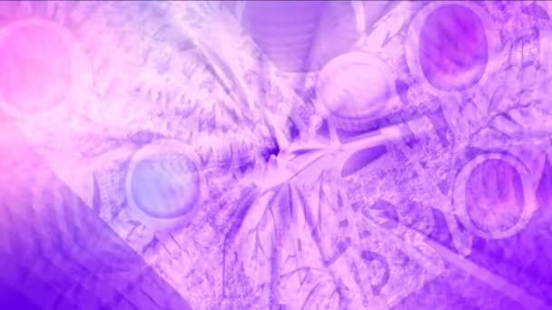 色彩斑斓的文摘模糊了网状背景在明亮的紫丁香粉红的色彩惊人的观点 摘要背景4K — 图库视频影像
