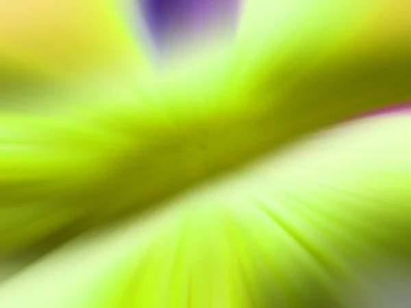 Абстрактный Красочный Вид Фона Скорость Концепция Движения — стоковое фото
