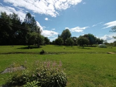 Yeşil çimen ve mavi gökyüzü olan güzel bir manzara.