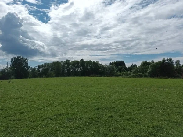 Bela Paisagem Com Campo Grama Verde Céu Azul — Fotografia de Stock