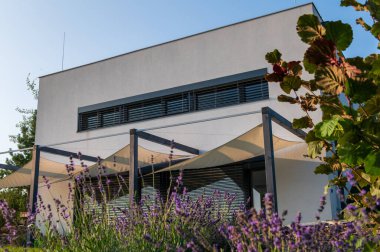 Modern, beyaz, küp, zarif, minimalist tarzı pasif ev geniş panoramik pencereli, bakımlı bahçedeki gri panjurlar. Tahta teras. Güneşli bir gün. Önde lavanta.