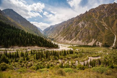 Ala Archa Ulusal Parkı 'ndaki manzara yeşili vadi. Bishkek yakınlarındaki Ala Archa Alpine Ulusal Parkı, Tian Shan Dağı Sıradağları, Kırgızistan, Orta Asya.