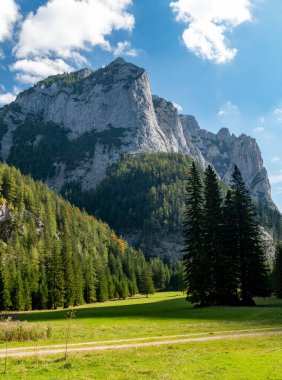 Hochschwab dağ köyü Hainzleralm 'ın panoramik manzarası, Hochschwab, Styria, Avusturya Alpleri, Avusturya, Avrupa' da sonbahar titreşimleri. İnsansız, ücra bir yer. Özgürlük ve vahşi doğa. Altın yamaçlar.