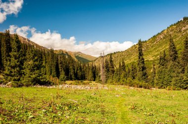 Karakol vadisi Ala Kul Gölü yolunda. Karakol vadisi, Issyk-kul bölgesi, Ala-kul Gölü Terskey Alatau dağ sırası, Kırgızistan, Orta Asya.