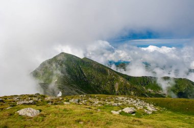Pietrosul Rodnei Dağı. Rodna Dağları Ulusal Parkı 'nın dağ yamaçları, Muntii Rodnei Ulusal Parkı, Romanya, Romanya Karpat Dağları, Avrupa.