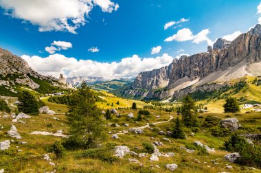Gardena Geçidi, Sass da Ciampac, Tor Bornech ve Sass dla Luesa, Trentino Alto Adige, İtalya. Alp çayırları ve Passo Gardenya.