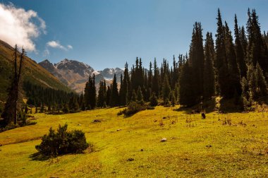 Karakol vadisi Ala Kul Gölü yolunda. Karakol vadisi, Issyk-kul bölgesi, Ala-kul Gölü Terskey Alatau dağ sırası, Kırgızistan, Orta Asya.