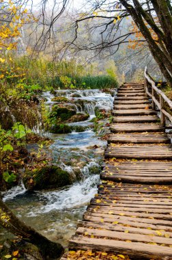 Renkli sonbaharda Plitvice Lakes Ulusal Parkı, Hırvatistan ve Avrupa. Sonbahar yaprakları ağaçların üzerinde. Şelaleler ve güneşli sabah ışığında sisli su. Manzara fotoğrafçılığı. Plitvicka Jezera Görünümü.