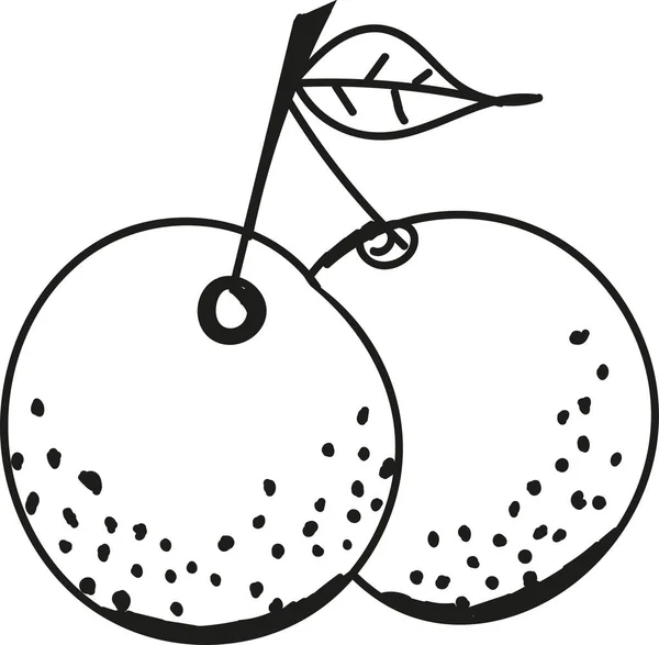 Orange Fruit Line Icon Vector Fruits Illustration — ストックベクタ