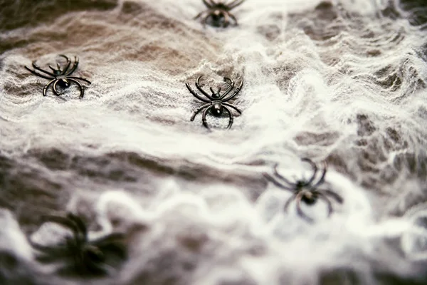 Halloween Background Spiders Web White Spider Web Black Decorative Spiders — Stock Photo, Image