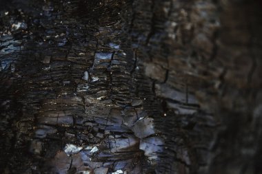 Yanmış odunlara yakın çekim. Yaşlı bir ağaç. Tahtanın pürüzlü ve pürüzlü yüzeyinin dokusu siyahtır. Doğal arkaplan. Kömür..